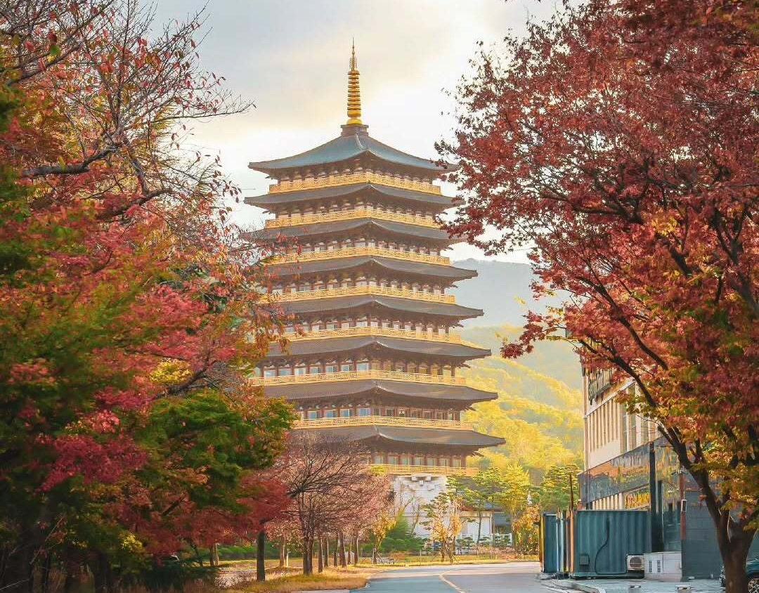 Busan: Your Private Custom Tour – Full-day Outside of Busan image
