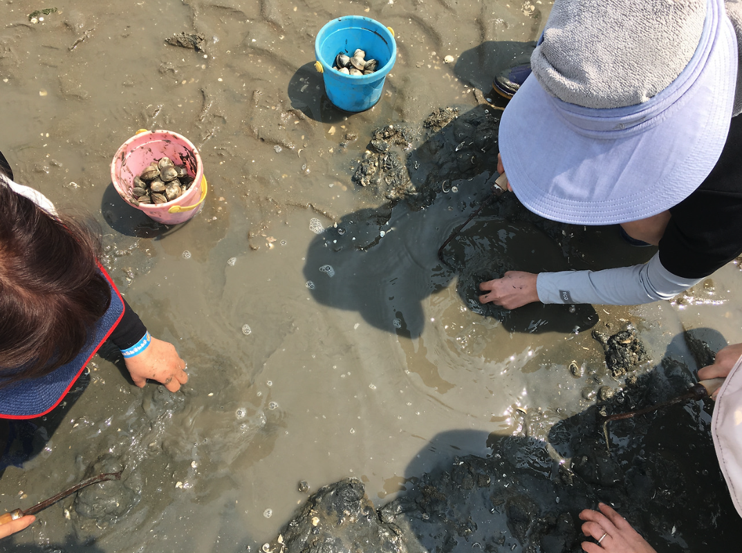 Geoje : Mudflat Experience and Korean Gourmet Food Tour (비노출) image_1