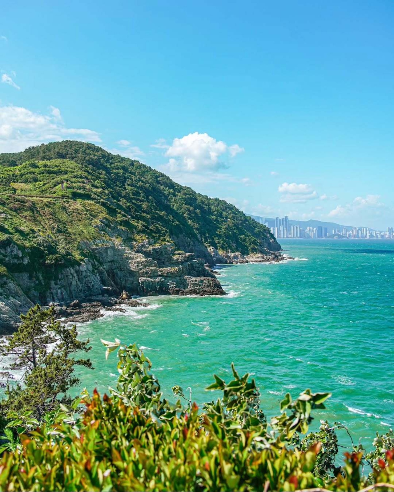 Busan: Your Private Custom Tour – Full-day Inside Busan image_8