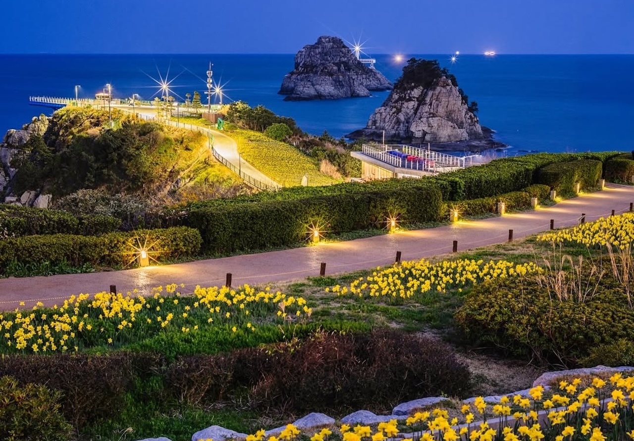 Busan: Your Private Custom Tour – Full-day Inside Busan image_7