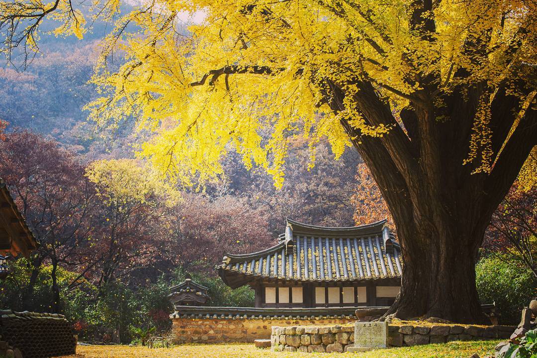 Busan: Your Private Custom Tour – Full-day Outside of Busan image_1