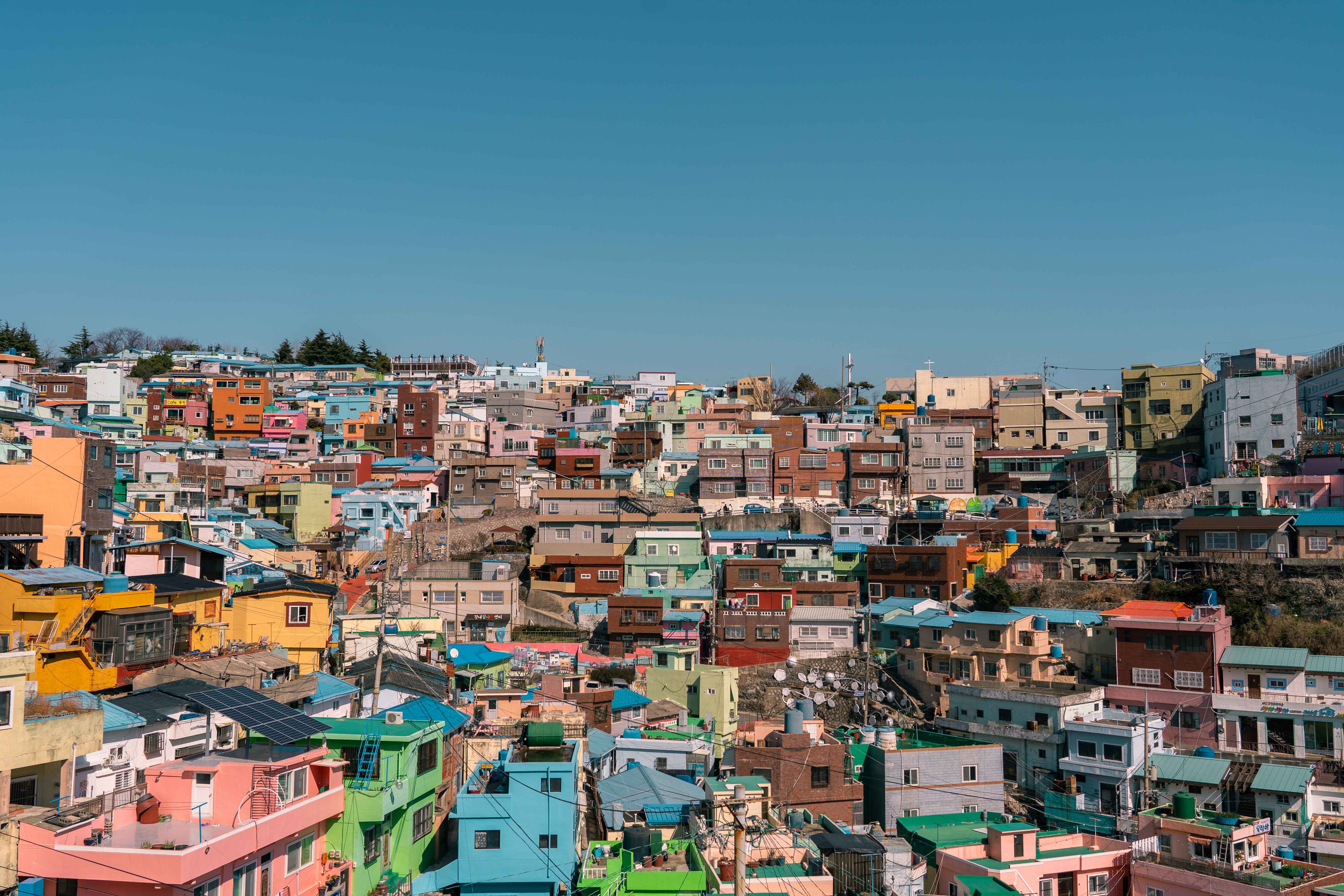 Busan: Your Private Custom Tour – Full-day Inside Busan image_4