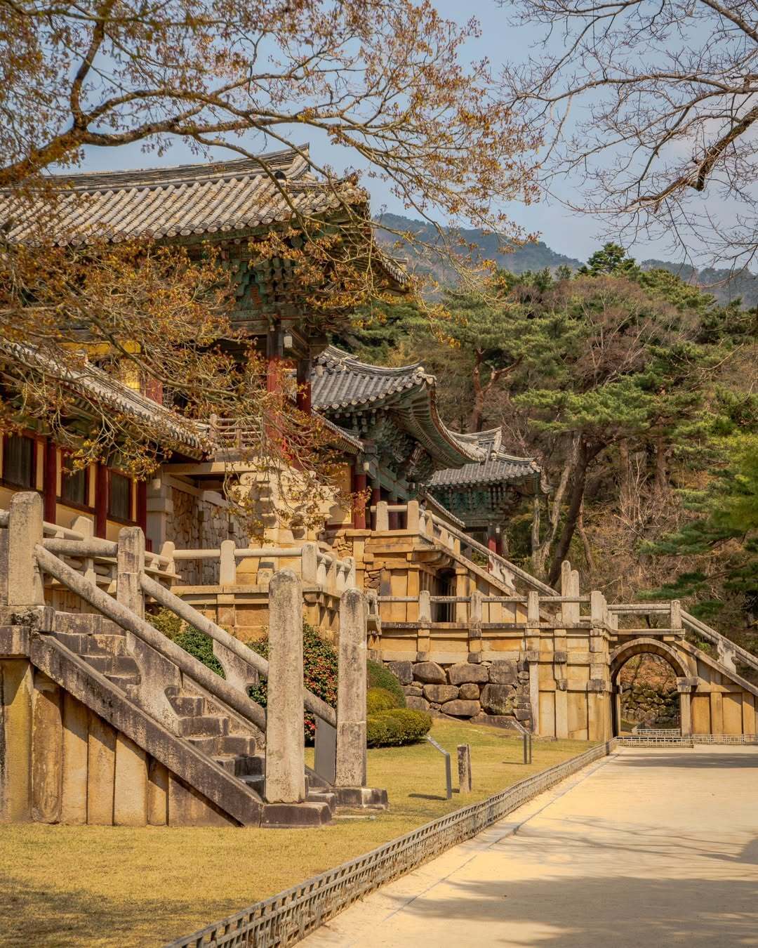 Busan: Your Private Custom Tour – Full-day Outside of Busan image_0