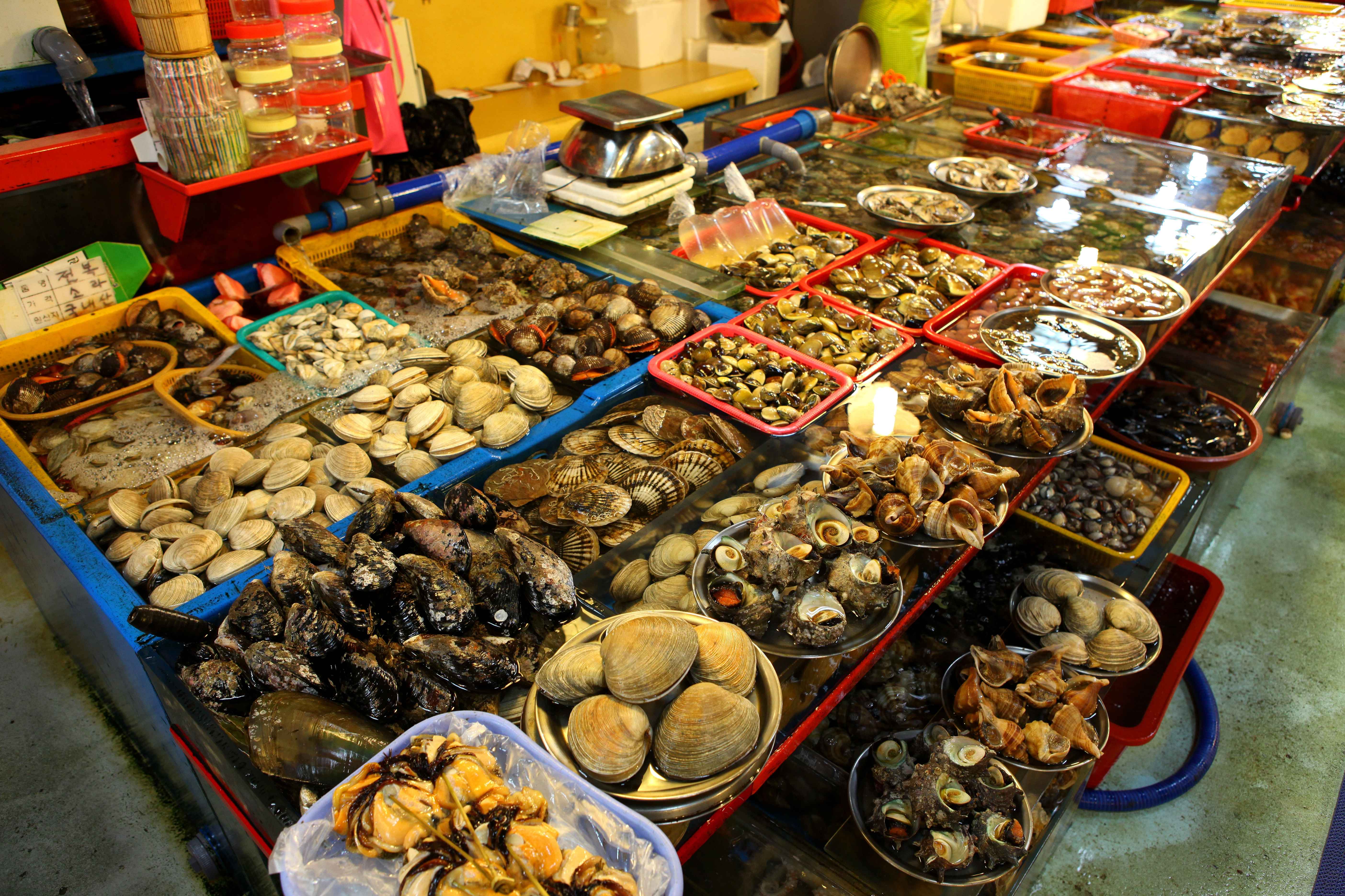 Busan: Your Private Custom Tour – Half-day image_2