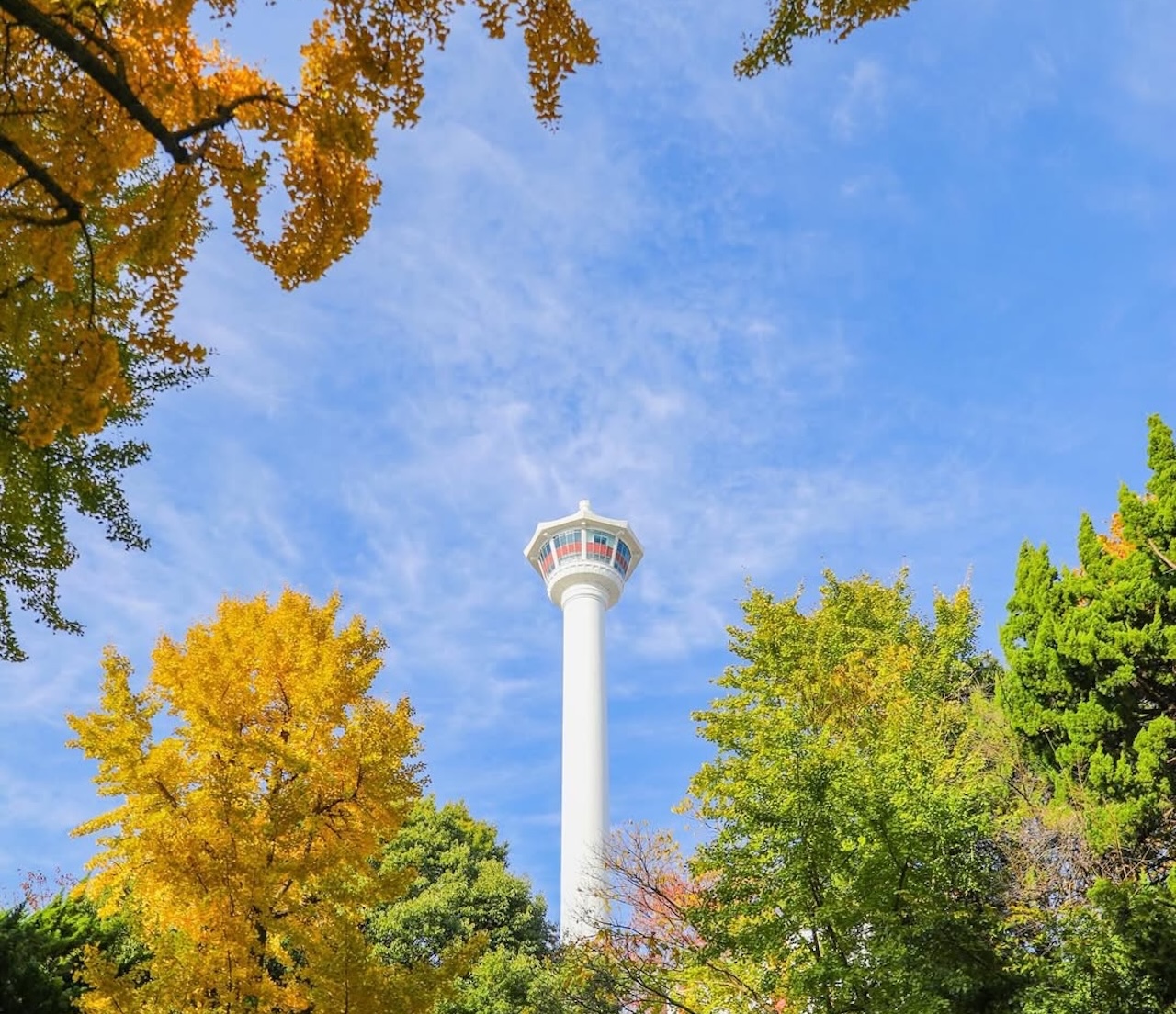 Busan: Your Private Custom Tour – Half-day image_9