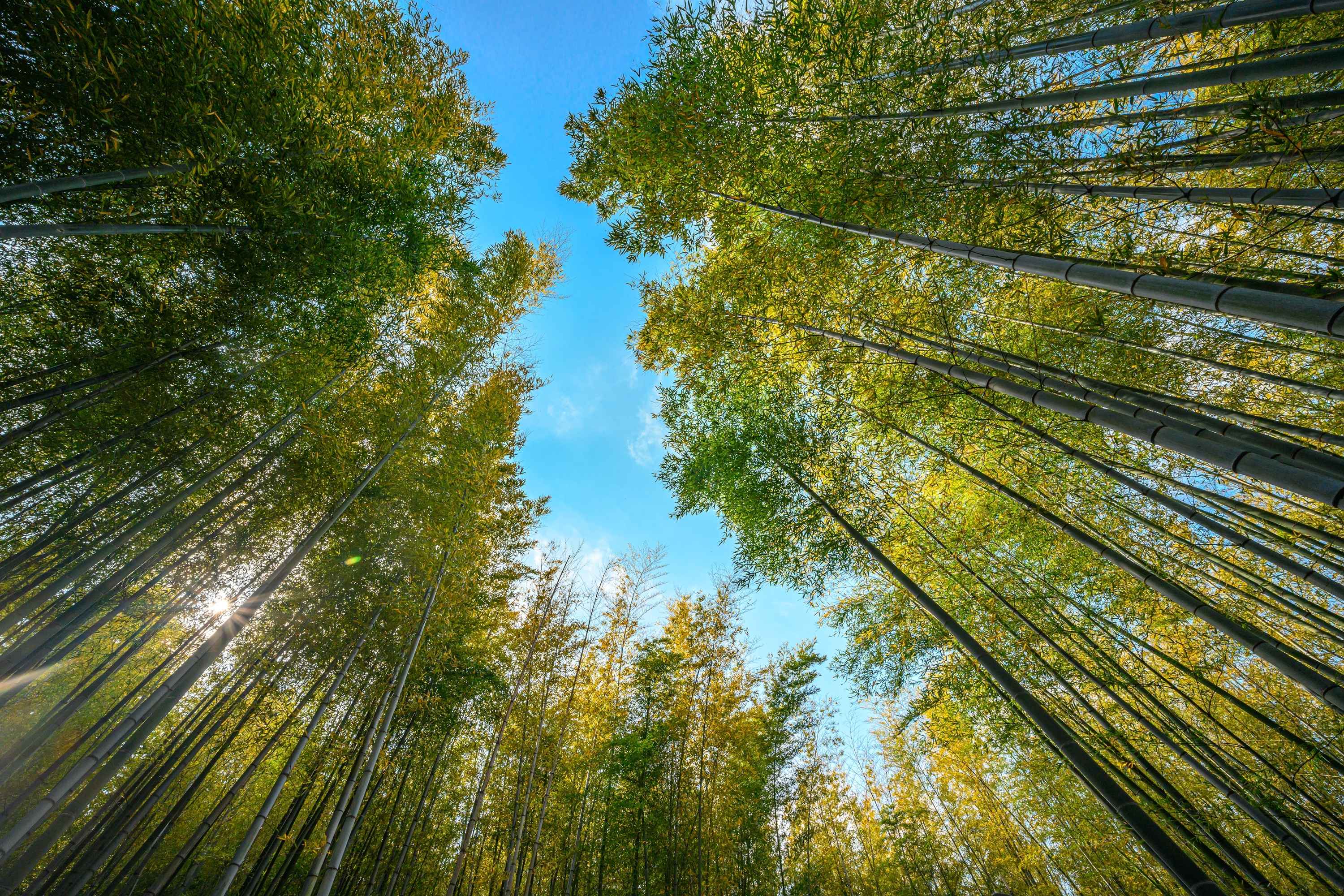 Busan: Your Private Custom Tour – Full-day Inside Busan image_11