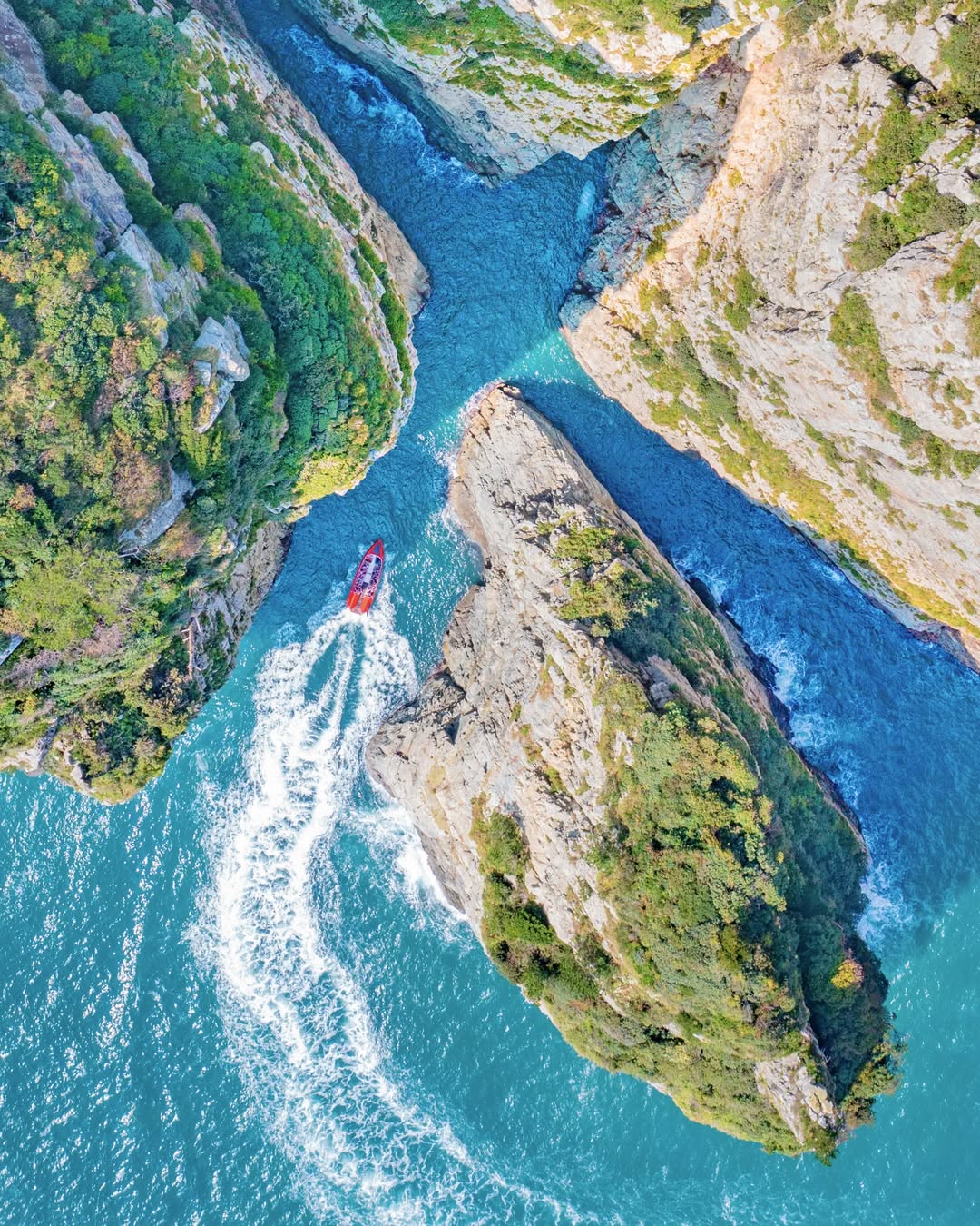 Busan: Your Private Custom Tour – Full-day Outside of Busan image_5