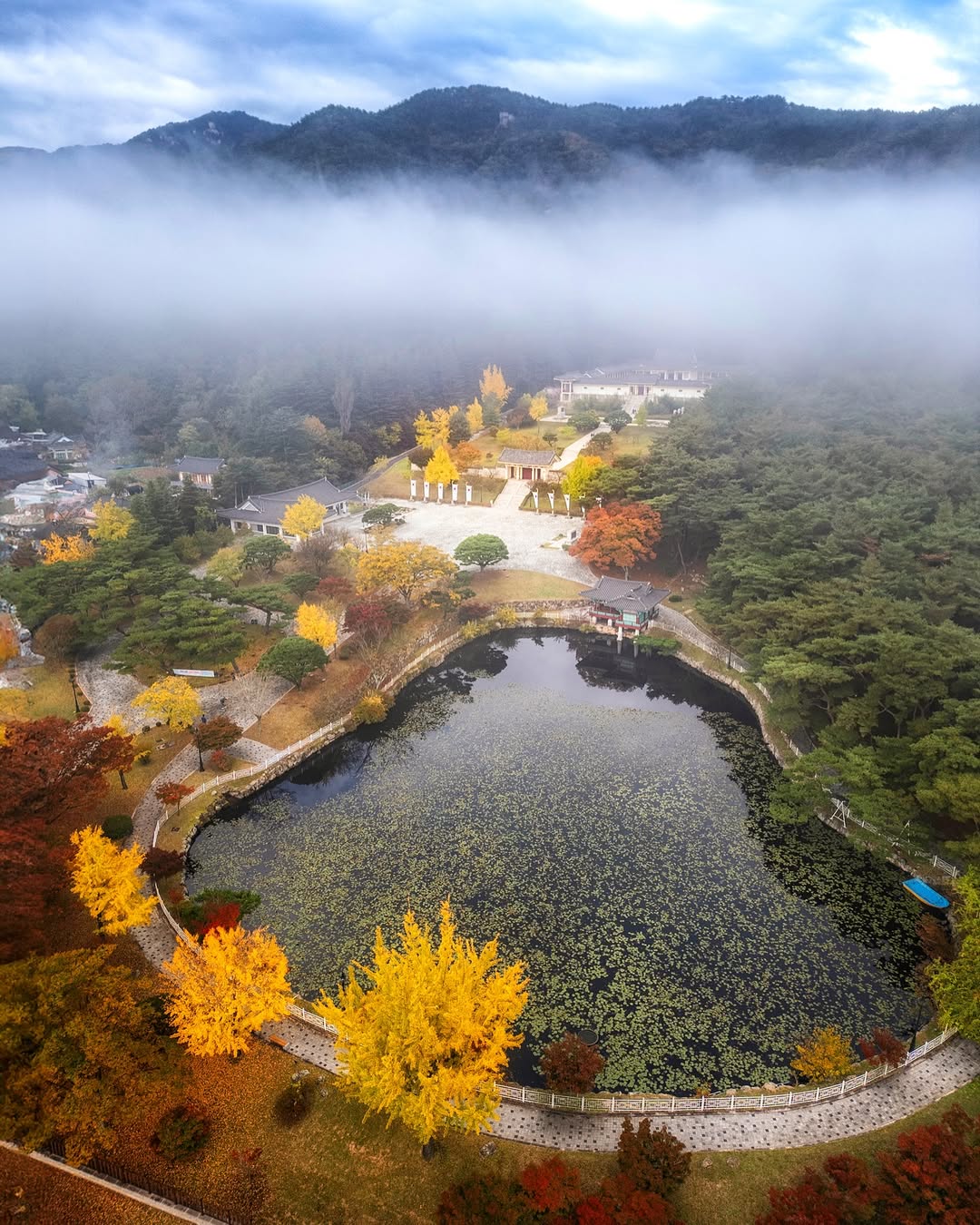 Busan: Your Private Custom Tour – Full-day Outside of Busan image_10